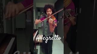 Allegretto Suzuki 1 Violin suzukiviolin violino [upl. by Dubenko646]