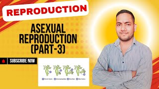 Asexual reproduction  Part 3 Taught by Akshay sir [upl. by Cosimo878]