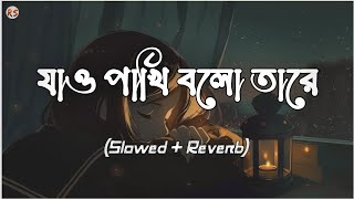 Jao Pakhi Bolo Tare SlowedReverb  Krishnokoli  Monpura  যাও পাখি বলো তারে [upl. by Miharbi509]