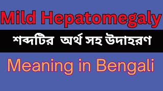 Mild Hepatomegaly Meaning In Bengali Mild Hepatomegaly mane ki [upl. by Eleinad313]