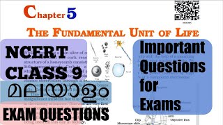 IMP QUESTIONS FUNDAMENTAL UNIT OF LIFE  CELL  CHAPTER 5  CLASS 9 CBSE Explained in Malayalam [upl. by Cavallaro309]