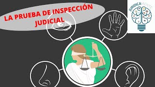 La Prueba de Inspección Judicial [upl. by Marcin]