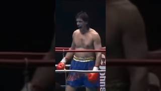 Branko Cikatic A Master of CHAOS brankocikatic explore shorts trending croatia [upl. by Alatea]