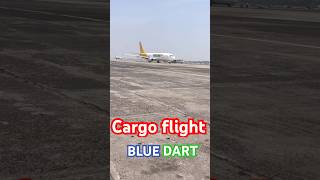 Blue dart cargo flighthow to my short videoviralvideo lovestatus [upl. by Rem]