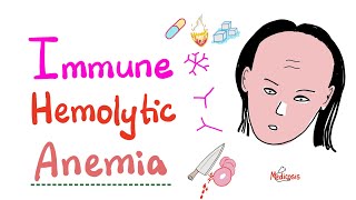 Immune Hemolytic Anemia intro [upl. by Bopp]