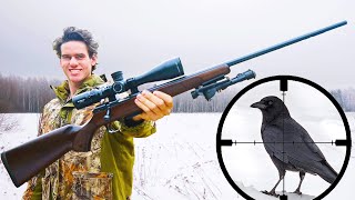 Small Game Hunting with 17HMR Scope Cam [upl. by Myers819]