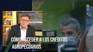 ¿CÓMO ACCEDER A LOS CRÉDITOS AGROPECUARIOS  TvAgro por Juan Gonzalo Angel Restrepo [upl. by Enelrak864]