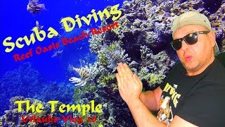 SCUBA DIVING EGYPT  The Temple  Reef Oasis Beach Resort 2017 [upl. by Clava]