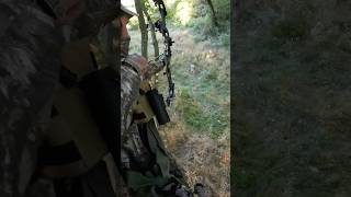 Easy meat for the freezer… deerhunting deer hunting venison archery whitetail outdoors [upl. by Eilyab]