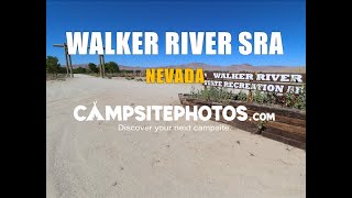 Walker River State Recreation Area NV [upl. by Carlita]