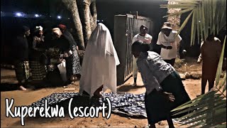 Lobola vlog part2 kuperekwa 💃🏼🐄💵💰 [upl. by Gottfried]