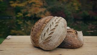 Sourdough Bread Made in a Wood Fired Oven by The Hudson Oven [upl. by Philender199]