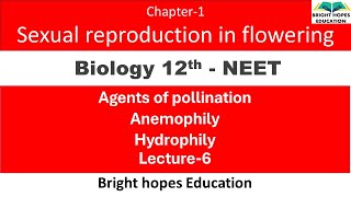 BIOLOGYNCERT ClASS12 CH1 L6 SEXUAL REPRODUCTION IN FLOWERING PLANTS AGENTS OF POLLINATION [upl. by Rad]