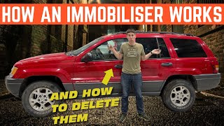 What Is An Immobiliser How Does It Work And How Do You DELETE It [upl. by Anwadal140]