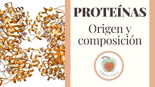 Las Proteínas Composición y Origen [upl. by Caryn]