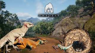 The Colony Grows  The Great Hypsi Colony Part 3  Hypsilophodon Gameplay  The Isle Evrima [upl. by Namien]