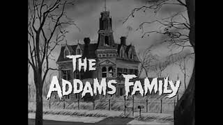 The Addams Family Theme Song Instrumental Cover [upl. by Higginbotham934]