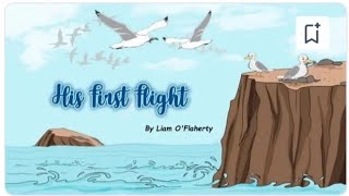 His First Flight Liam OFlahertyClass 10  questenglish2893 [upl. by Yesima]