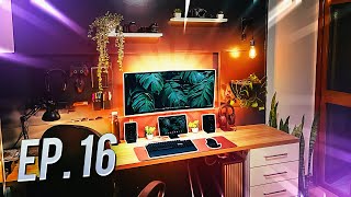 Só Setups Para se Inspirar  React de Setups EP 16 [upl. by Naej]