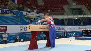 Nile Wilson  GOLD  pommel horse  Event Finals  2014 Junior Euros [upl. by Eidda]