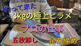 寿司屋のダイちゃんが、釣って来た極上寒ヒラメを五枚卸しして、昆布締め、刺身、握り‼️ [upl. by Hinson363]