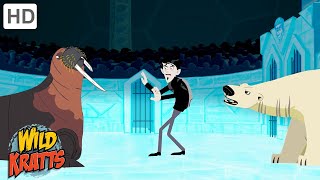 Winter Adventures Part 6  Happy Holidays  Wild Kratts [upl. by Leese]