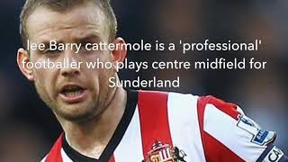 Lee cattermole  midfield maestro [upl. by Artcele689]