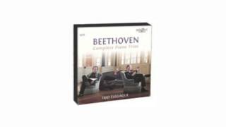 Beethoven  Complete Piano Trios Brilliant Classics 5CD 94327 [upl. by Hersh716]