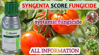 SYNGENTA SCORE FUNGICIDE  score fungicide  syngenta score [upl. by Dilks]