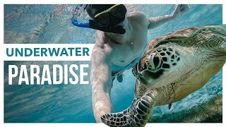 🇮🇩 INSANE Subwinging amp Snorkeling in Gili Meno Island Vlog Underwater Paradise [upl. by Llirret]