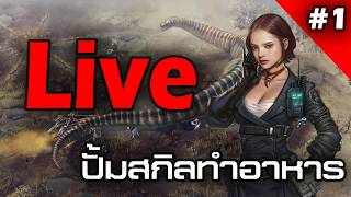 🔴Durango  Live1  เก็บเลเวลสกิลทำอาหาร ถามตอบ ได้ครับ [upl. by Atiuqad]