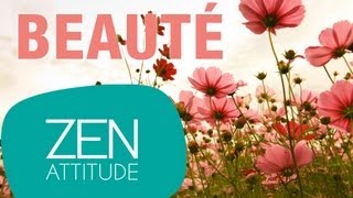 Zen attitude  Beauté [upl. by Kalfas]