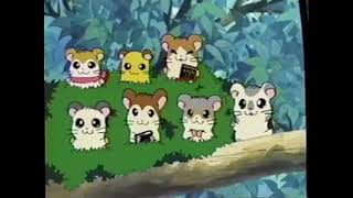 Fanmade Opening To Hamtaro Hamtaro and the Ham Hams 2002 Sony Wonder VHS [upl. by Yenterb]