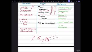 شرح مدخل الطفيليات Medical parasitology 1Nematodes 2cestodes 3Trematodes المحاضرة الأولى [upl. by Yrokcaz]