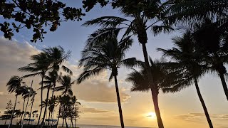 Townsville Running Festival 2024 [upl. by Allerym779]