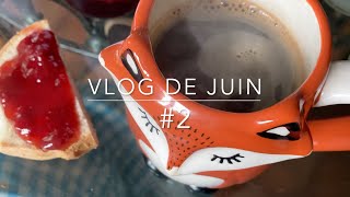 Dans latelier dEve  vlog de juin 2 [upl. by Aicilram]