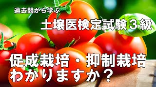 1 土壌医検定試験3級過去問 [upl. by Kassaraba]