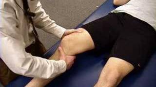 Knee Exam Lachman Test [upl. by Enuahs]