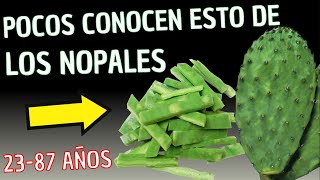 Si TIENES entre 23 y 87 AÑOS debes ver ESTE VÍDEO Beneficios de los NOPALES [upl. by Harvison]