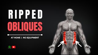 Legendary Obliques Workout at Home  No Equipment   Fit Body [upl. by Modeerf]