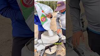 Fertilizer drones and tree climbing machines।😱shortvideo amazingsfacts [upl. by Atikir330]