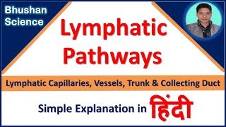 Lymphatic Pathways flow of lymph through the body Simple Explanation in Hindi  Bhushan Science [upl. by Nalrah685]