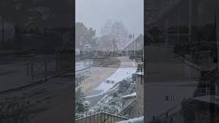 Le 9 Janvier 2024 Dinard sous la neige ❄️ Short video 4k 2024 [upl. by Benson]