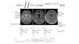 NeuroImaging amp NeuroRadiology  Theory amp Practice  CT  MRI  Neuroscience Lecture Series [upl. by Becht]