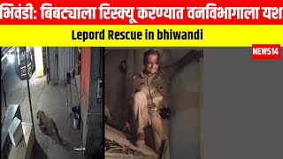 Lepord Rescue in bhiwandi बिबट्याला रिस्क्यू करण्यात वनविभागाला यश  News14 Marathi [upl. by Nylle951]