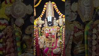 Tirumala Vaasa Sri Venkatesa Song With Lyrics  Telugu Devotional [upl. by Sanders151]