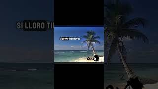 ahora entregate 🎶🎵 music musica edit shorts beach life [upl. by Hadrian]