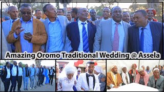 Best Oromo Traditional Wedding Ceremony in Oromia  Assela Town [upl. by Fradin284]