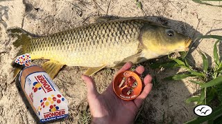 New  Rodless Reel   Site fishing for Carp with Bread  Handline Fishing [upl. by Paco]