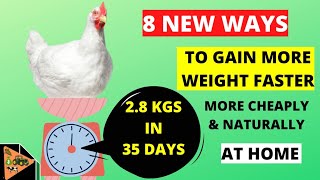 ACHIEVE 28 KGS IN BROILER CHICKEN  How to make Broiler Growth Booster Faster amp GAIN MORE WEIGHT [upl. by Ikoek193]